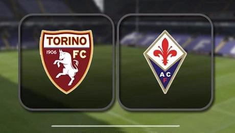 Torino vs Fiorentina