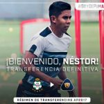 Néstor Calderón refuerzo de Pumas proveniente de Chivas para el Apertura 2017
