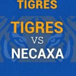 Tigres vs Necaxa