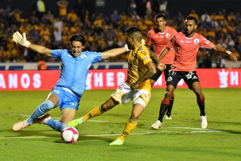 Tigres vs Lobos BUAP 2-2 Jornada 14 Torneo Apertura 2018
