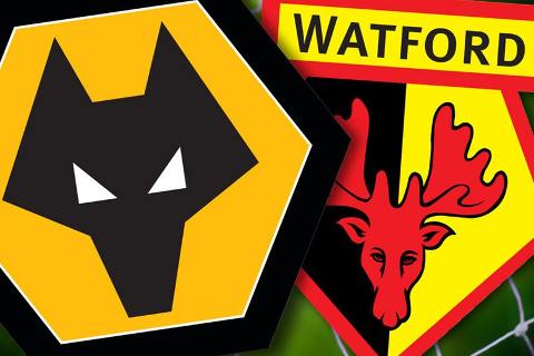 Wolves vs Watford