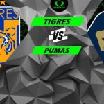 Tigres vs Pumas