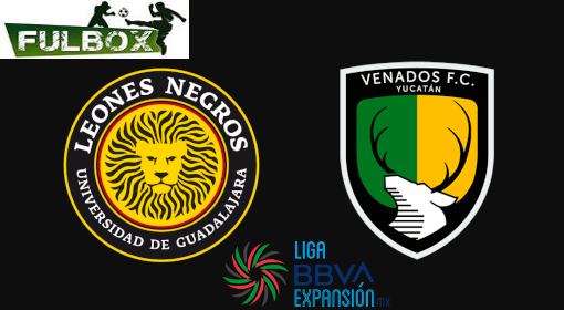 Resultado: Leones Negros vs Venados [Vídeo Resumen Goles] Cuartos de Final  Liga de Expansión Apertura 2022