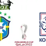 Brasil vs Corea del Sur