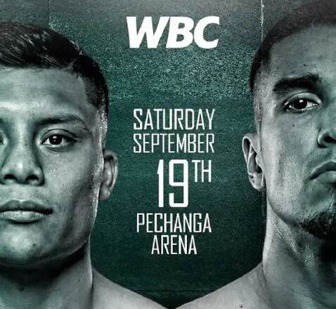 Pitbull Cruz vs Nestor Bravo EN VIVO