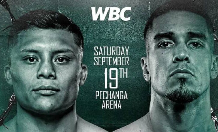 Pitbull Cruz vs Nestor Bravo EN VIVO