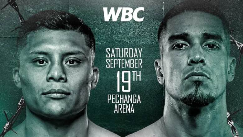 Pitbull Cruz vs Nestor Bravo EN VIVO